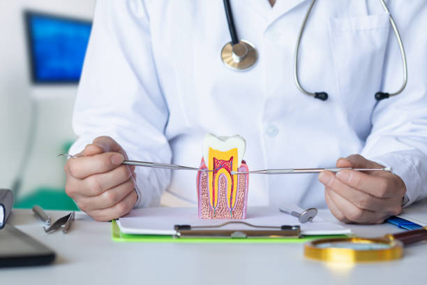 Best Knocked-Out Tooth (Avulsed Tooth) Treatment in Casas Adobes, AZ